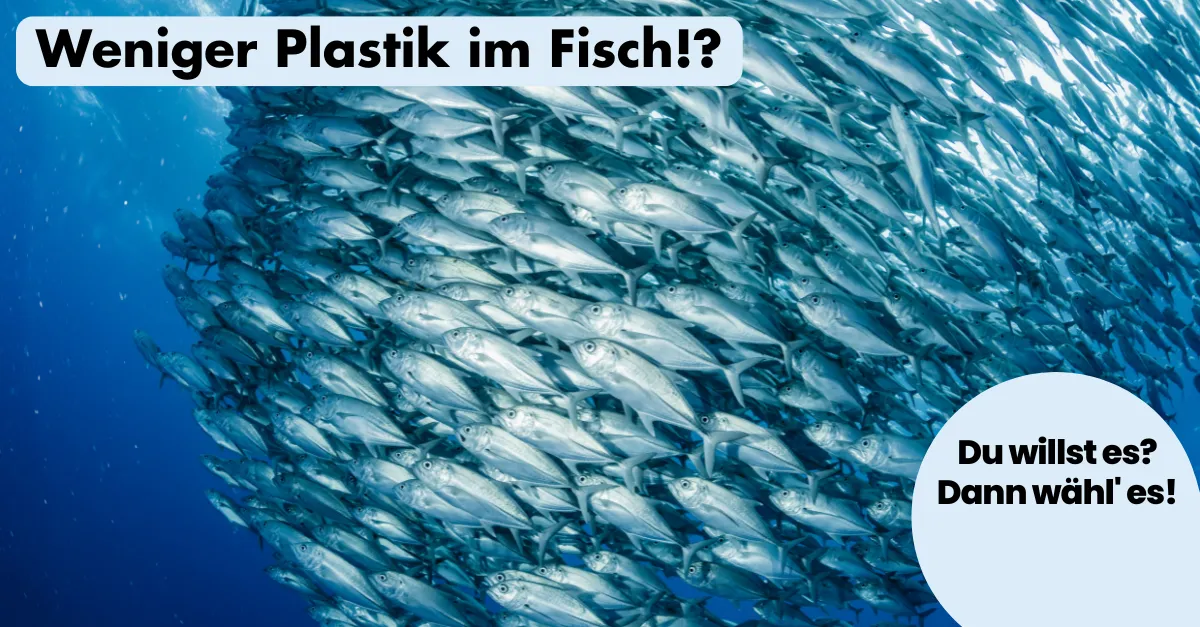 ohnelogo_linkedin_saubere_meere_fische